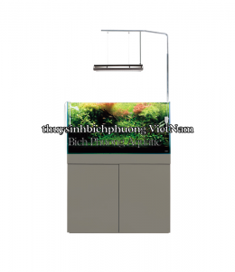 ADA SOLAR RGB STAND - GIÁ TREO ĐÈN INOX