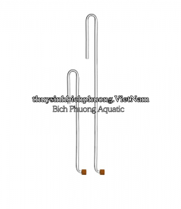 AQUARIO NEO CO₂ DIFFUSOR CURVED TINY - CỐC SỦI CO2 MINI SIÊU MỊN
