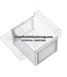 BOX ACRYLIC DƯỠNG | SHOW CÁ TÉP (BT20)