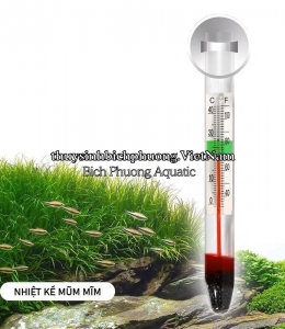 CHUBBY THERMOMETER - NHIỆT KẾ MŨM MĨM