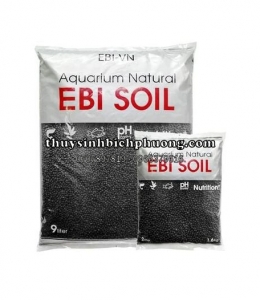 EBI SOIL SAND - ĐẤT NỀN CAO CẤP 