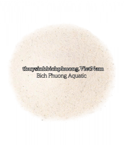 FINE WHITE SAND | CÁT TRẮNG MỊN TỰ NHIÊN 