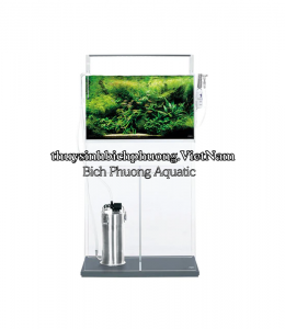 TỦ KÍNH ADA CUBE CABINET CLEAR 60