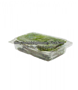 MINI FISSIDEN | MINI FISS MOSS - RÊU TRÃI NỀN MINIFISS 