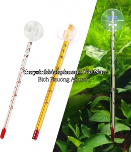 NHIỆT KẾ THỦY NGÂN - NHIỆT KẾ HỒ CÁ