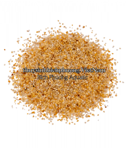 SHIMMERING GOLDEN SAND | CÁT NẮNG VÀNG KIM SA