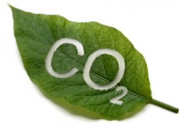 TẦM QUAN TRỌNG CỦA CO2 TRONG HỒ THỦY SINH