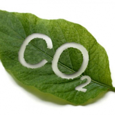 TẦM QUAN TRỌNG CỦA CO2 TRONG HỒ THỦY SINH