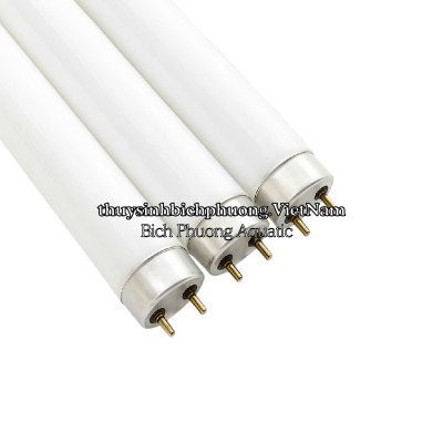 BÓNG ĐÈN JEBO T8 10000K  ÁNH SÁNG TRẮNG