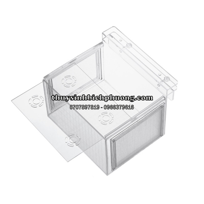 BOX ACRYLIC DƯỠNG | SHOW CÁ TÉP (BT20)