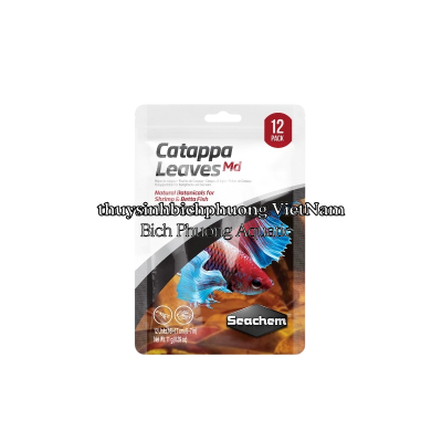 CATAPPA LEAVES MEDIUM