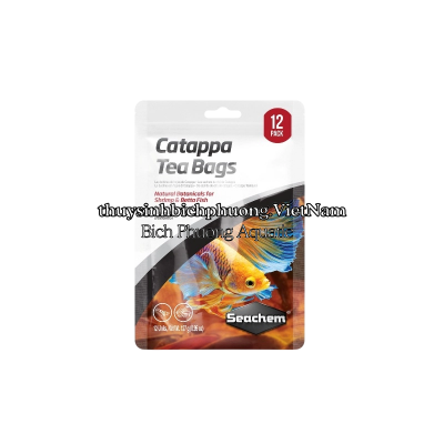 CATAPPA LEAVES SMALL 
