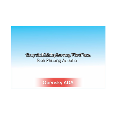 DECAL OPEN SKY BLUE STYLE ADA