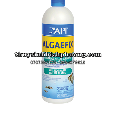 DIỆT RÊU API  ALGAEFIX 