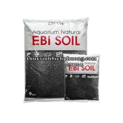 EBI SOIL SAND - ĐẤT NỀN CAO CẤP 