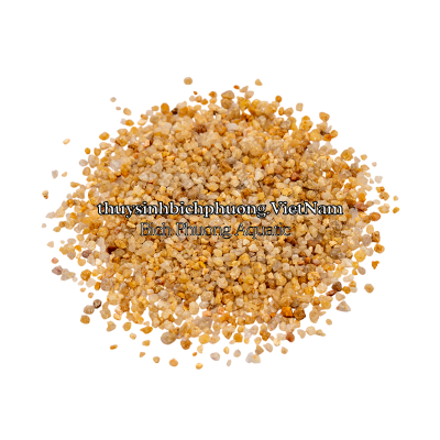 GOLDEN SHIMMER PEBBLE - SỎI NẮNG VÀNG KIM SA
