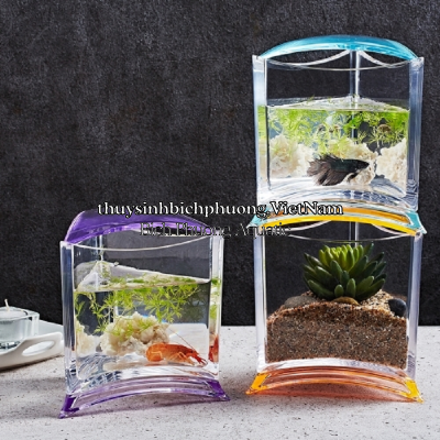 ISTA STYLISH DISPLAY CASE - TRIANGLE TANK - HỒ CÁ BETTA TAM GIÁC 