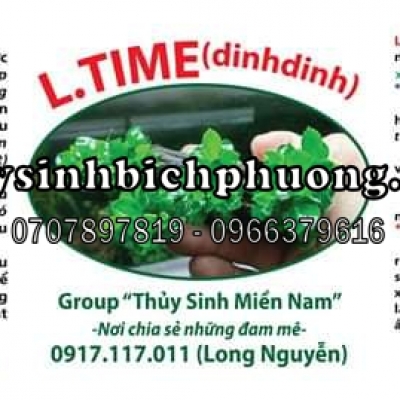 L - TIME DIỆT RÊU HẠI KÍCH CHỒI CÂY