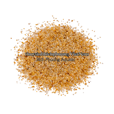SHIMMERING GOLDEN SAND | CÁT NẮNG VÀNG KIM SA