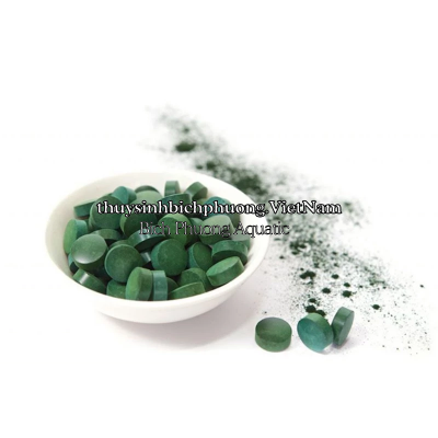 TẢO XOẮN SPIRULINA NHẬT BẢN - THỨC ĂN BỔ SUNG DƯỠNG CHẤT CHO CÁ TEP CẢNH